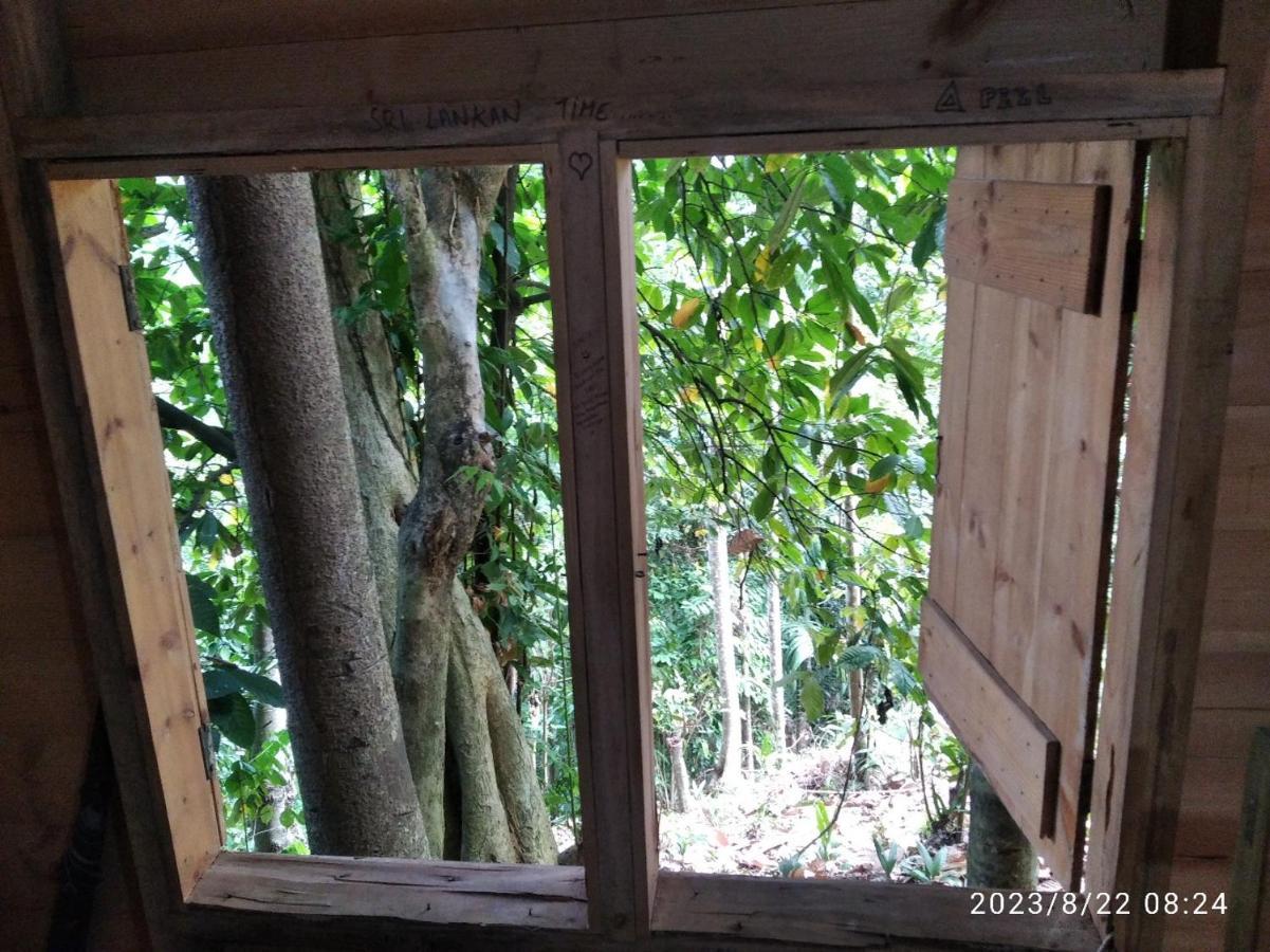 Spiritual Nature Farm - Sri Lanka Matale Extérieur photo