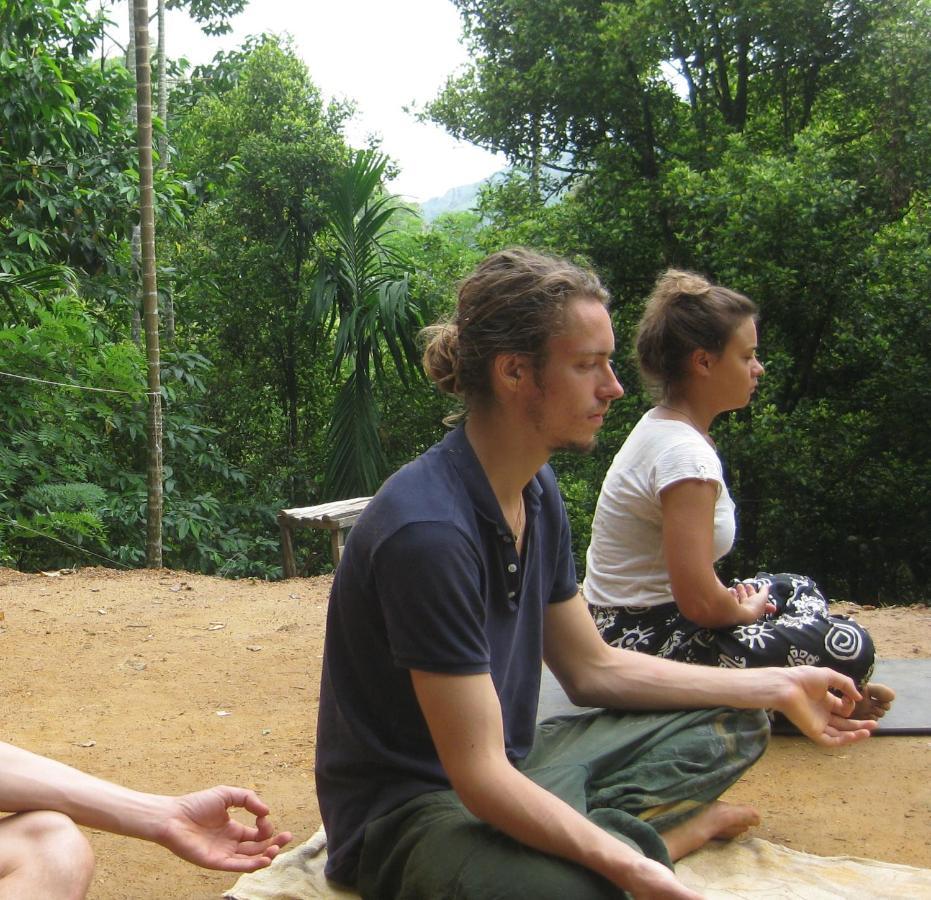 Spiritual Nature Farm - Sri Lanka Matale Extérieur photo