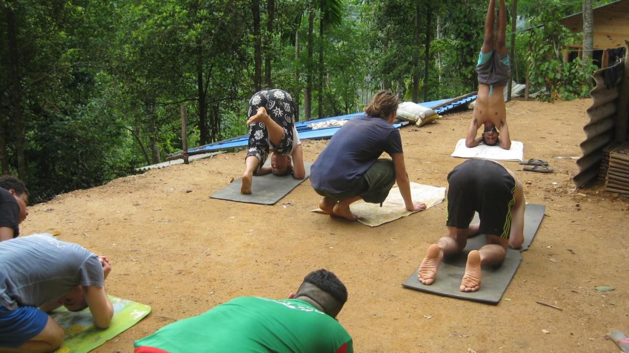 Spiritual Nature Farm - Sri Lanka Matale Extérieur photo