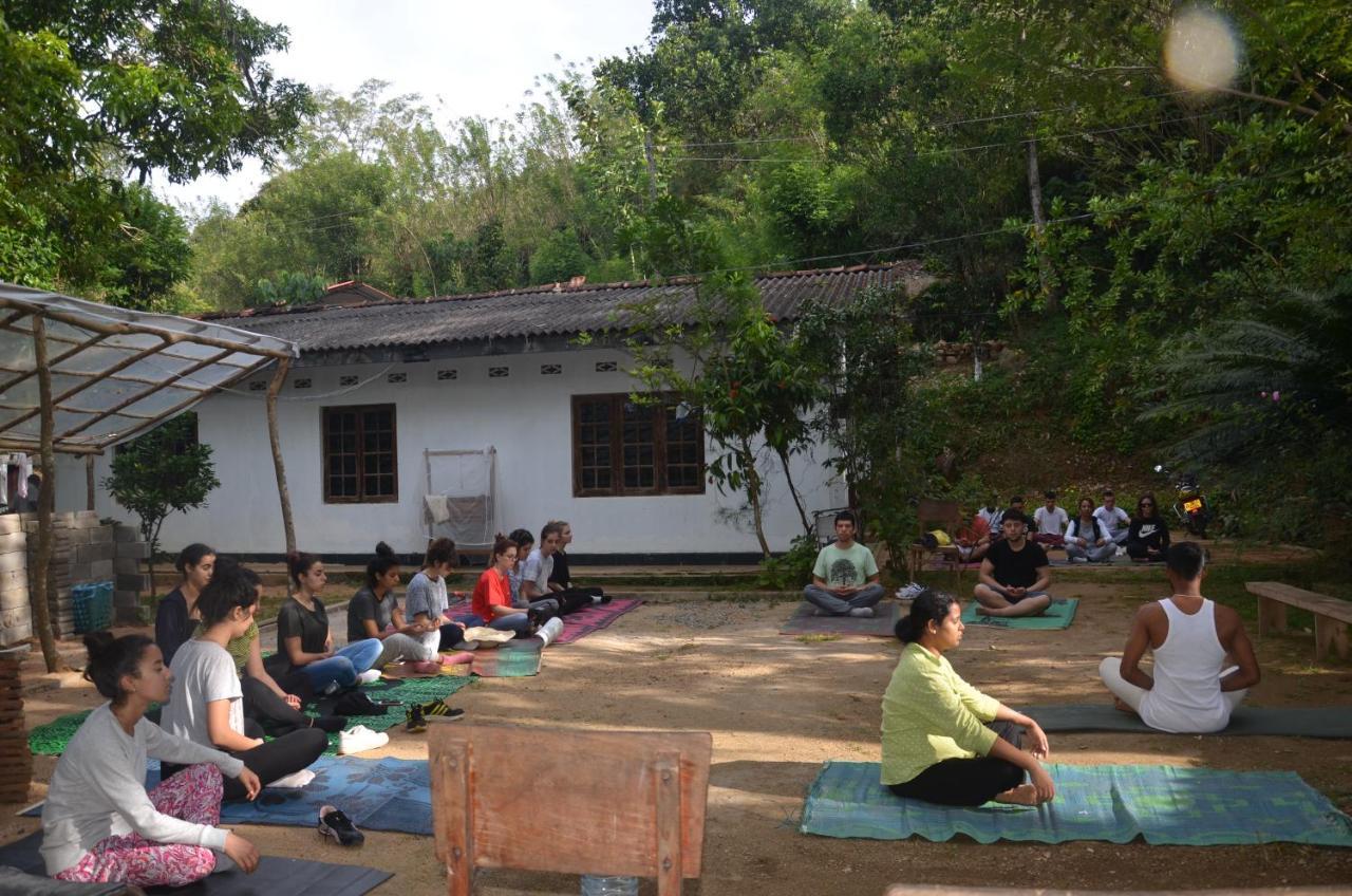 Spiritual Nature Farm - Sri Lanka Matale Extérieur photo