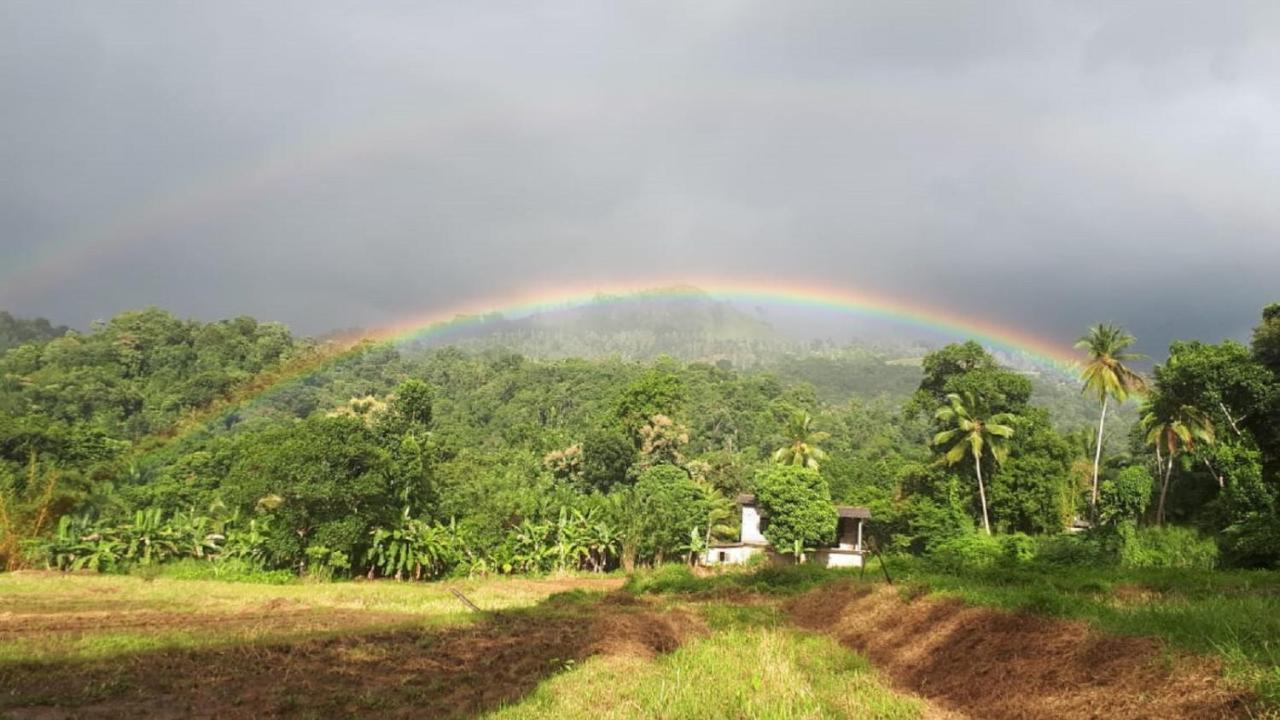 Spiritual Nature Farm - Sri Lanka Matale Extérieur photo