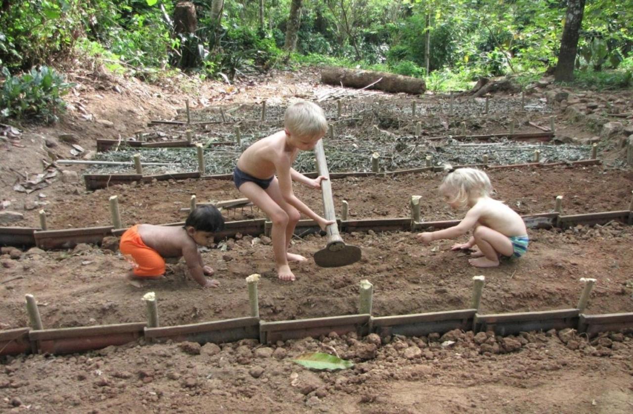 Spiritual Nature Farm - Sri Lanka Matale Extérieur photo